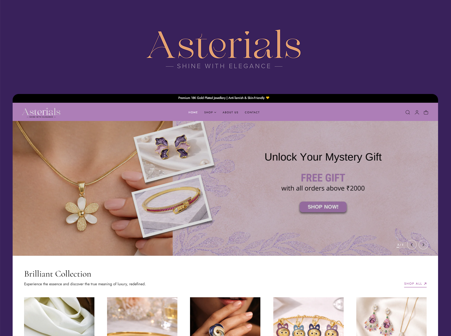 asterials Portfolio Image